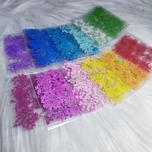 Cargar imagen en el visor de la galería, Small Dry Flowers