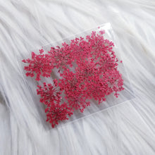 Cargar imagen en el visor de la galería, Small Dry Flowers