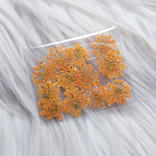 Cargar imagen en el visor de la galería, Small Dry Flowers