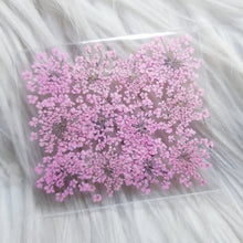 Cargar imagen en el visor de la galería, Small Dry Flowers