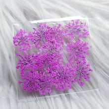 Cargar imagen en el visor de la galería, Small Dry Flowers