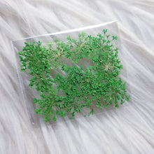 Cargar imagen en el visor de la galería, Small Dry Flowers