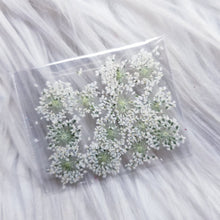 Cargar imagen en el visor de la galería, Small Dry Flowers