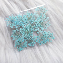 Cargar imagen en el visor de la galería, Small Dry Flowers