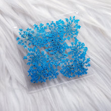 Cargar imagen en el visor de la galería, Small Dry Flowers