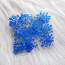 Cargar imagen en el visor de la galería, Small Dry Flowers