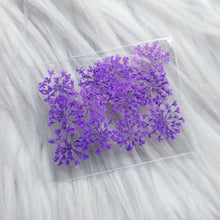 Cargar imagen en el visor de la galería, Small Dry Flowers