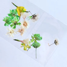 Cargar imagen en el visor de la galería, Mix Gardens