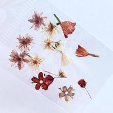 Cargar imagen en el visor de la galería, Mix Gardens