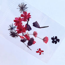 Cargar imagen en el visor de la galería, Mix Gardens