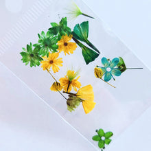 Cargar imagen en el visor de la galería, Mix Gardens