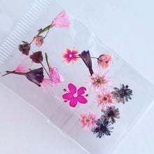 Cargar imagen en el visor de la galería, Mix Gardens