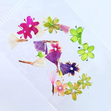 Cargar imagen en el visor de la galería, Mix Gardens