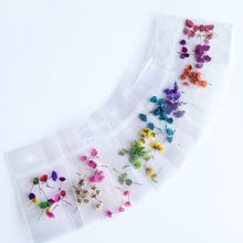 Load image into Gallery viewer, Tulipanes