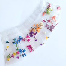 Load image into Gallery viewer, Campanitas