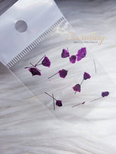 Load image into Gallery viewer, Tulipanes