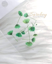 Load image into Gallery viewer, Tulipanes