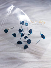 Load image into Gallery viewer, Tulipanes