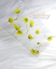 Load image into Gallery viewer, Tulipanes