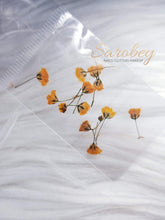 Load image into Gallery viewer, Tulipanes