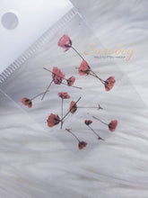 Load image into Gallery viewer, Tulipanes