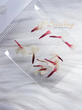 Load image into Gallery viewer, Campanitas