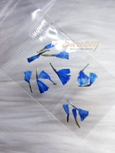 Load image into Gallery viewer, Campanitas