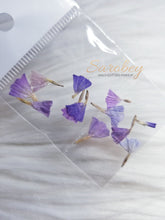 Load image into Gallery viewer, Campanitas