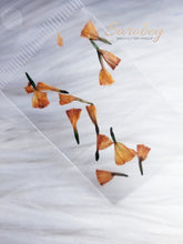 Load image into Gallery viewer, Campanitas