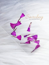 Load image into Gallery viewer, Campanitas