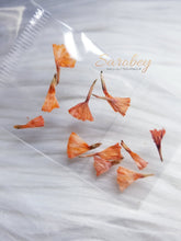 Load image into Gallery viewer, Campanitas