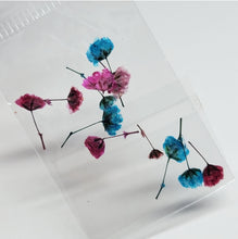 Load image into Gallery viewer, Tulipanes