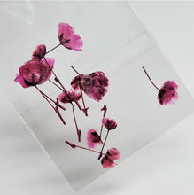 Load image into Gallery viewer, Tulipanes