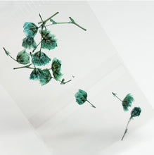 Load image into Gallery viewer, Tulipanes