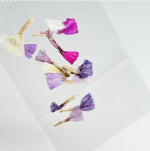 Load image into Gallery viewer, Campanitas