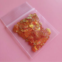 Load image into Gallery viewer, Seashells