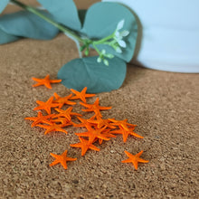 Cargar imagen en el visor de la galería, Starfish
