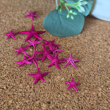 Cargar imagen en el visor de la galería, Starfish

