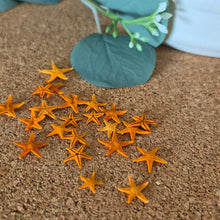 Cargar imagen en el visor de la galería, Starfish
