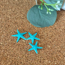 Cargar imagen en el visor de la galería, Starfish
