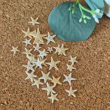Cargar imagen en el visor de la galería, Starfish
