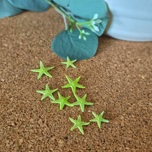 Cargar imagen en el visor de la galería, Starfish
