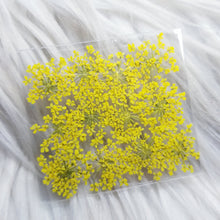 Cargar imagen en el visor de la galería, Small Dry Flowers

